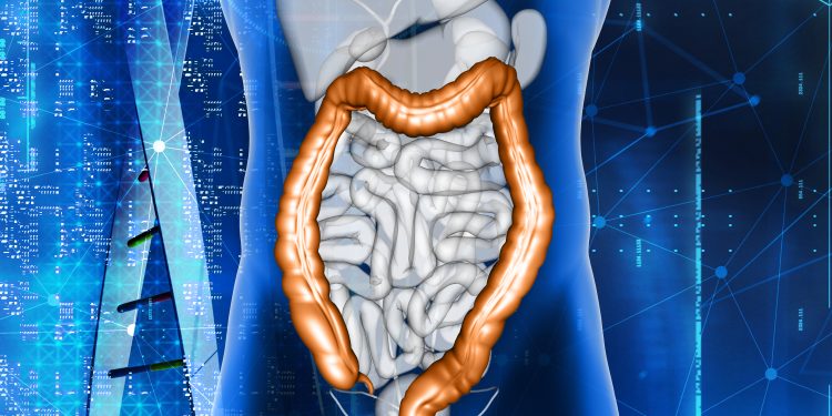 Fasting-Mimicking Diet Boosts Cancer Immunity by Silencing Immune-Suppressing Cells, Study Reveals