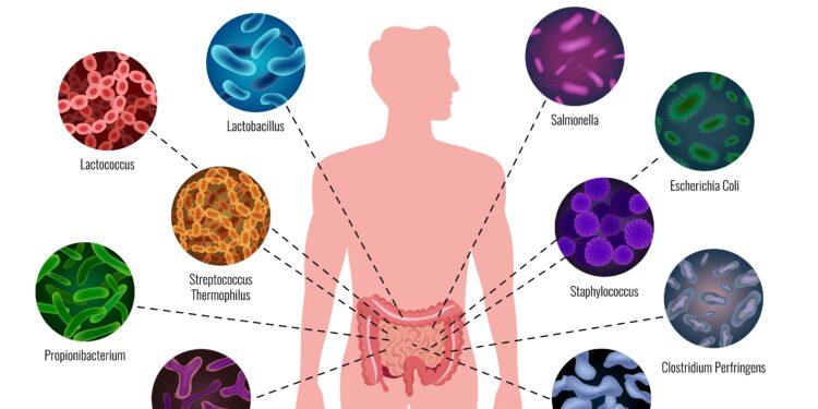 Microplastics Gut Microbiota-A Hidden Threat: