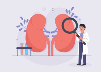 Scientists Create “Assembloids,” a Major Breakthrough in Lab-Grown Kidneys