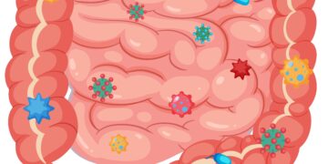 A Gut Bacterium Is Quietly Fueling Depression — And Harvard Scientists Just Caught It in the Act