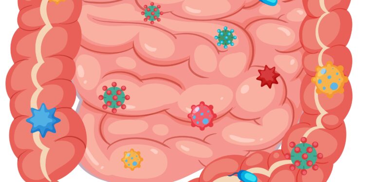 A Gut Bacterium Is Quietly Fueling Depression — And Harvard Scientists Just Caught It in the Act